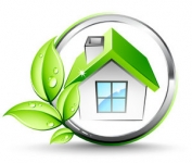 actualite-eco.jpg